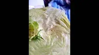 Неожиданно из капусты выросла капуста