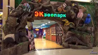 Ekzoopark in SEC «RIO» (2022)