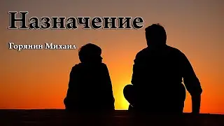 НАЗНАЧЕНИЕ_Что мы назначаем нашим детям_Горянин Михаил