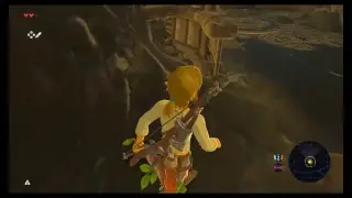 Switcharoo Sunday || Legend of Zelda BotW Master Mode New File