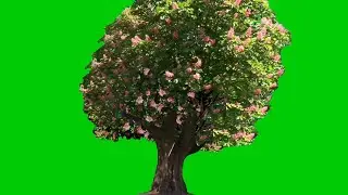 flower tree green screen