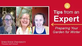 Tips from an Expert: Preparing Your Garden and Landscape for Winter