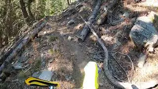 Primitive Single Track and Logs