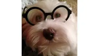 Typing Video Lessons