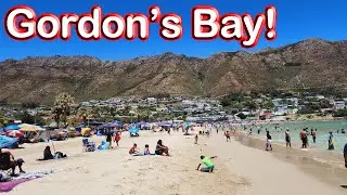 S1 – Ep 257 – Gordon’s Bay – A Beautiful Harbour Town in False Bay!