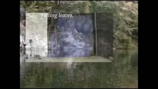 BTS Forest Battle