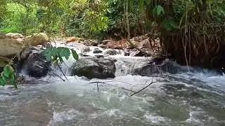 The clean sound of flowing water acts as a relaxing prelude to sleep