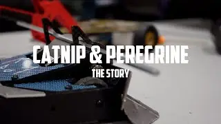 Catnip & Peregrine | The Story