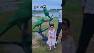 মামা আর ভাগ্নি ঘুরা ঘুরি #reels #reelsfb #trendingreels #reelsindia #reel #reelsvideo #trending