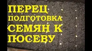 Перец Подготовка семян к посеву -Это важно!