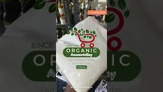 Fresh Dosa, Idli Batter Available - Organic AccountsGuy