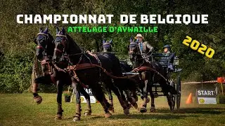 (Studio ATB 54) Championnat de Belgique d'Attelage / dressage 2020  Aywaille HD