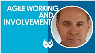 Agile Working and User Involvement