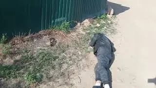 Человек и бутылка пива