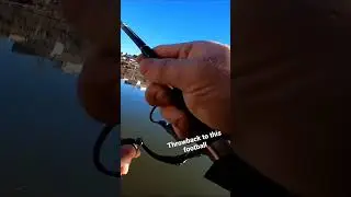 #fishing #iowa #like #shorts #youtubeshorts #fish #ytshorts #share #short #facts #outdoors #fun #vid