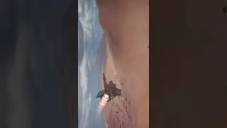 ONE SHOT ENEMY JET