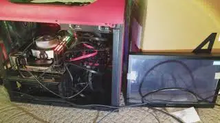 It's Alive!