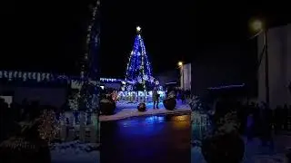 ЁЛОЧКА, ГОРИ! Беларусь. Всем людям, такого позитива.