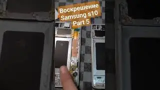 Воскрешение Samsung s10 Part 5 В мастерской Ёж г.Владимир