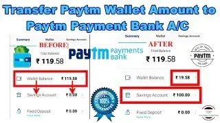 How to Transfer Paytm Wallet Money to Paytm Payment Bank | Add Money in Paytm Payment Bank A/C Hindi