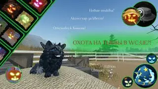 КАК НАЙТИ ВСЕ ТЫКВЫ В WC:UE?! | Местонахождение/Рассказ | Warrior Cats: Ultimate Edition - Roblox