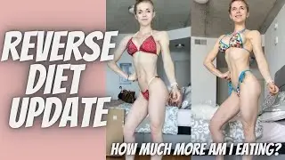 REVERSE DIET UPDATE//Macros, Weight, Supplements, & Future Plans