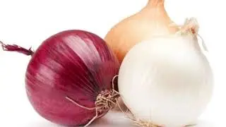Piyozning shifobaxsh hususiyatlari haqida batafsil ma’lumot. So'galdan qutilish uchun......