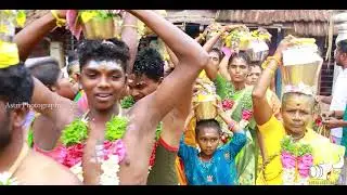 தம்பிப்பட்டி அம்மன் கோவில் ஆடி மாத கிடாய் வெட்டு பூசை