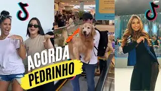 JOVEM DIONÍSIO - ACORDA PEDRINHO | DANCINHA DO TIKTOK (TIKTOK)