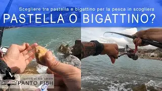 Pastella o bigattino per la bolognese in scogliera?