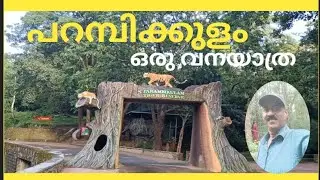 Tiger Reserve | പറമ്പിക്കുളം വനയാത്ര