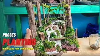 proses menambahkan hardscape dengan tanaman moss