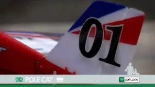 Parkzone UMS Pole Cat