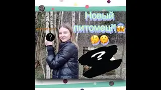 Новый питомец!