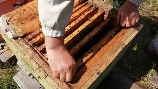 Проверяем отводок на матку