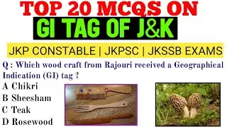 IMPORTANT MCQS ON | GI TAG OF J&K | FOR JKP CONSTABLE | JKPSC | JKSSB EXAMS.