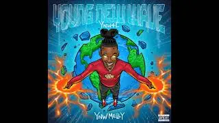 YNW Melly- Fix That (Audio) 