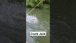 #fishing #youtubeshorts #youtuber #raubfischangeln #рыбалка #рек #рекомендации