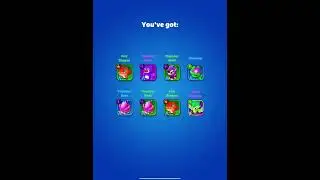 Punball - Mech-Raccoon SS Pet Pulls