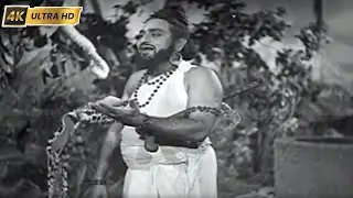 கோபி ஜன மன மோஹன பாடல் | Gopi jana mana mohana song | Papanasam Sivan | Haridas .