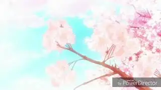 LOST IN THE MOMENT ~ Shigatsu wa Kimi no Uso AMV