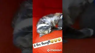 Любимая поза для сна
