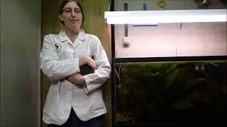 Advanced Rabbit Showmanship 2020