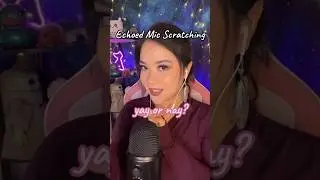 ASMR ~ echoed mic scratching 
