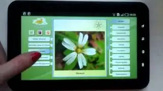 Biology: Plant handbook