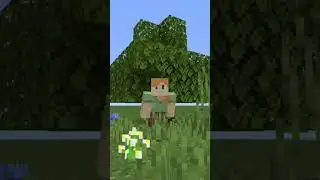 меломан😎🎶 