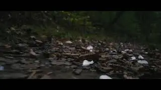 Little Dead Riding Hood (Horror) Sony a6300 short film