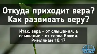 Откуда приходит вера? Как развивать веру?