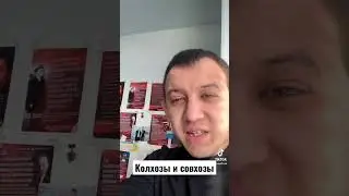 Колхозы и совхозы 