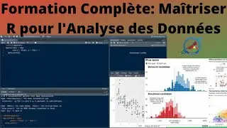 Formation Complète: Maîtriser R pour l'Analyse des Données